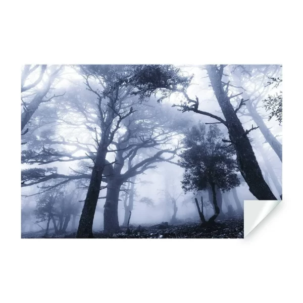 Misty Forest Wall Mural, Large Tree View Landscape Wall Decal, Scenic Nature Wallpaper - Image 2